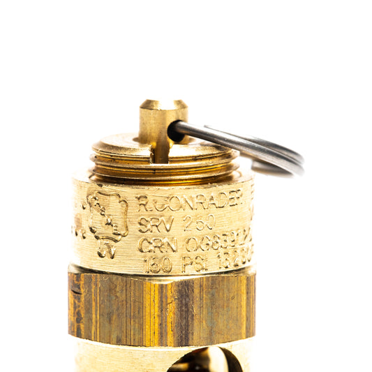 Brass Pressure Relief Valve (150 PSI) - 3/8"