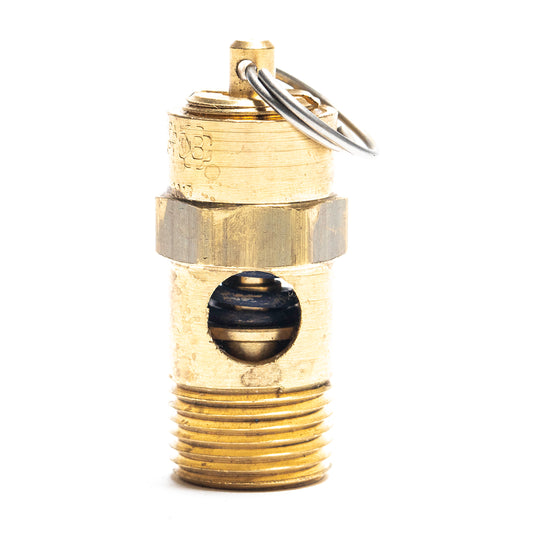 Brass Pressure Relief Valve (125 PSI) - MNPT